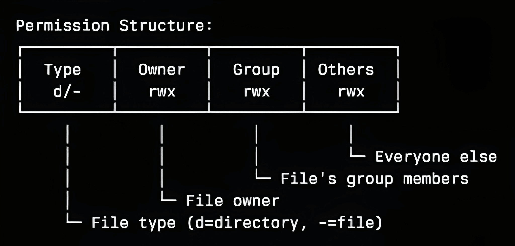 Linux special permissions SUID SGID sticky bit explained with numeric values